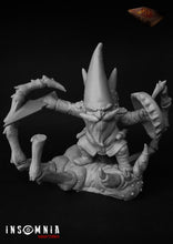 Load image into Gallery viewer, David gnome