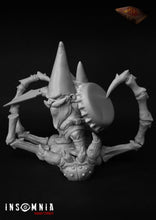 Load image into Gallery viewer, David gnome