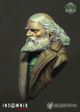 Load image into Gallery viewer, The Terrible Old Man