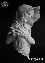 Load image into Gallery viewer, Mother Shipton