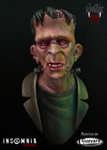 Load image into Gallery viewer, Frankenstein