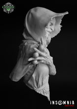 Load image into Gallery viewer, Mother Shipton