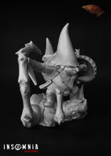 Load image into Gallery viewer, David gnome