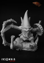 Load image into Gallery viewer, David gnome