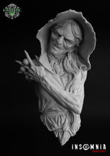 Load image into Gallery viewer, Mother Shipton