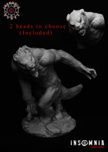 Load image into Gallery viewer, Greyback