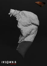 Load image into Gallery viewer, Red Riding Hood