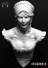 Load image into Gallery viewer, Erzsébet Bathory countess vampire