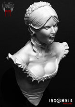 Load image into Gallery viewer, Erzsébet Bathory countess vampire