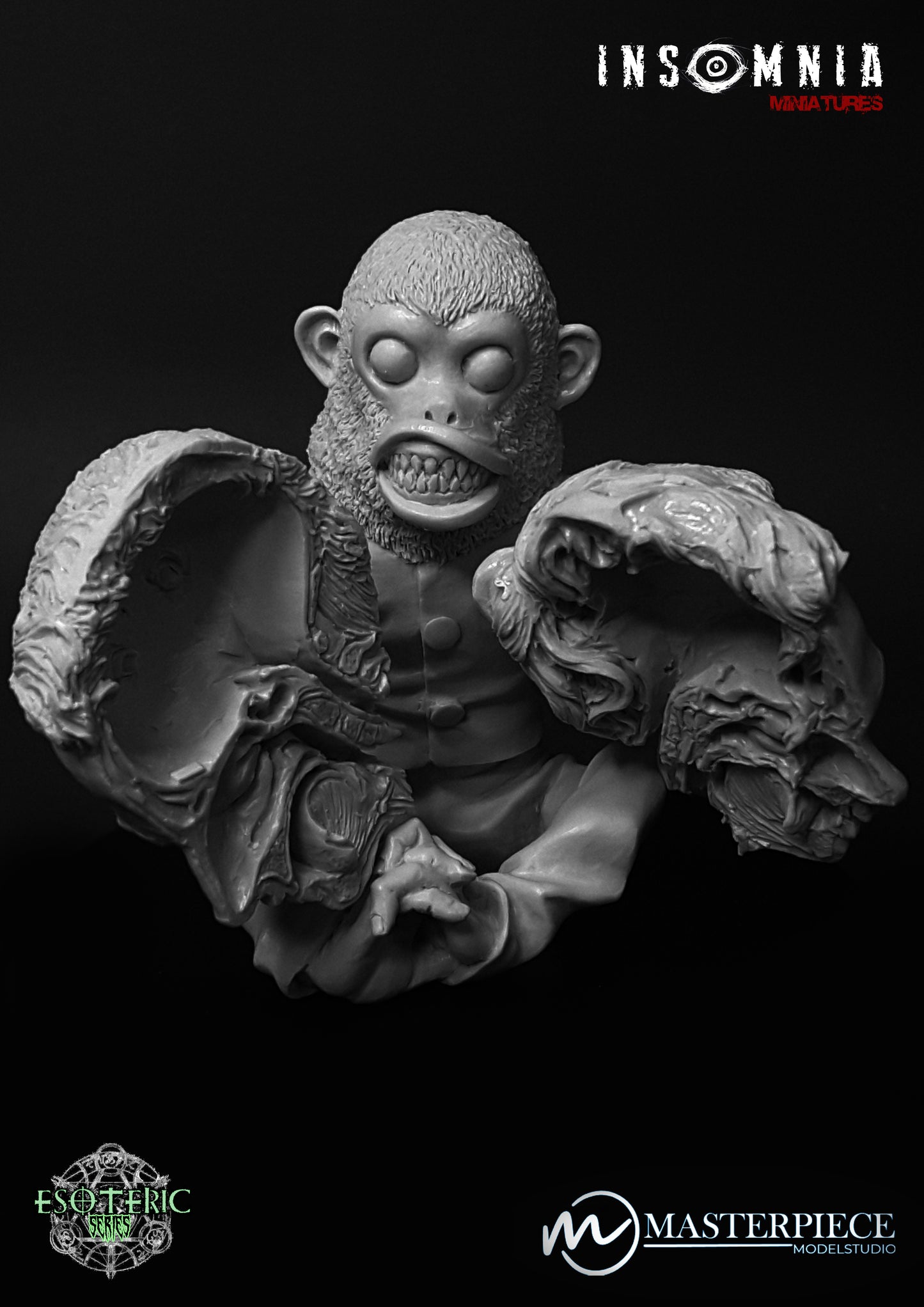 Warren's Chimp