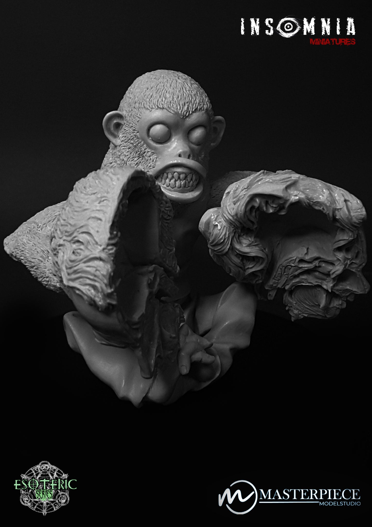 Warren's Chimp