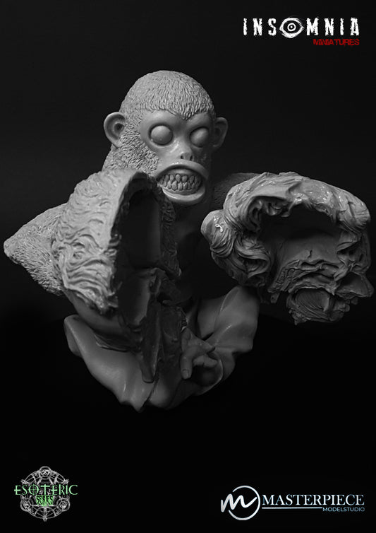 Warren's Chimp